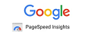 google pageSpeed Insights logo